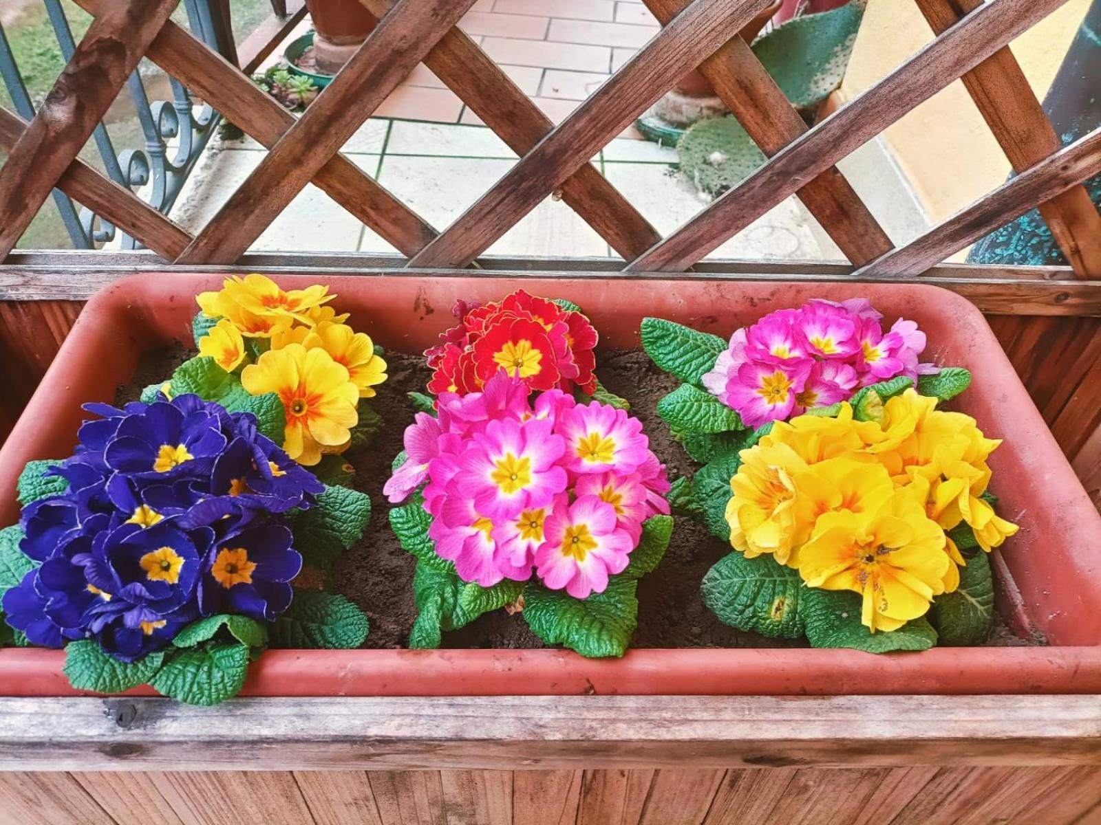 Le Colline Di Maggiora B&B Экстерьер фото
